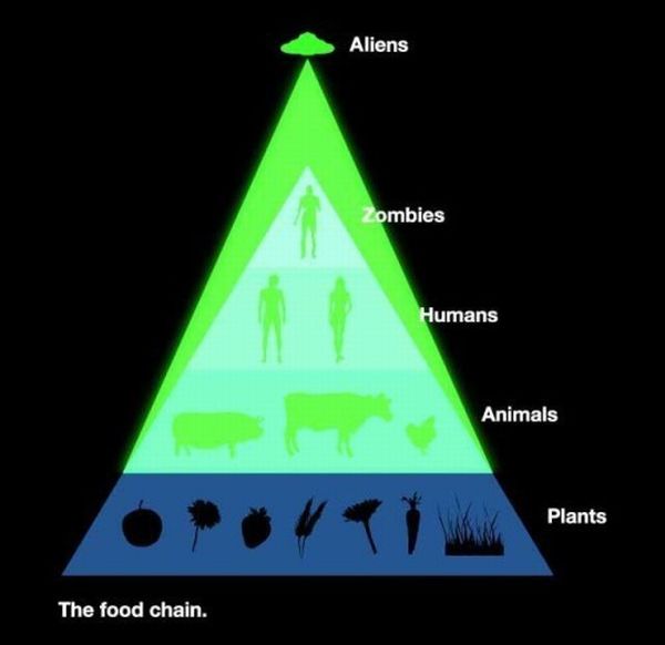 food chain humans. food chain, human, mensch,